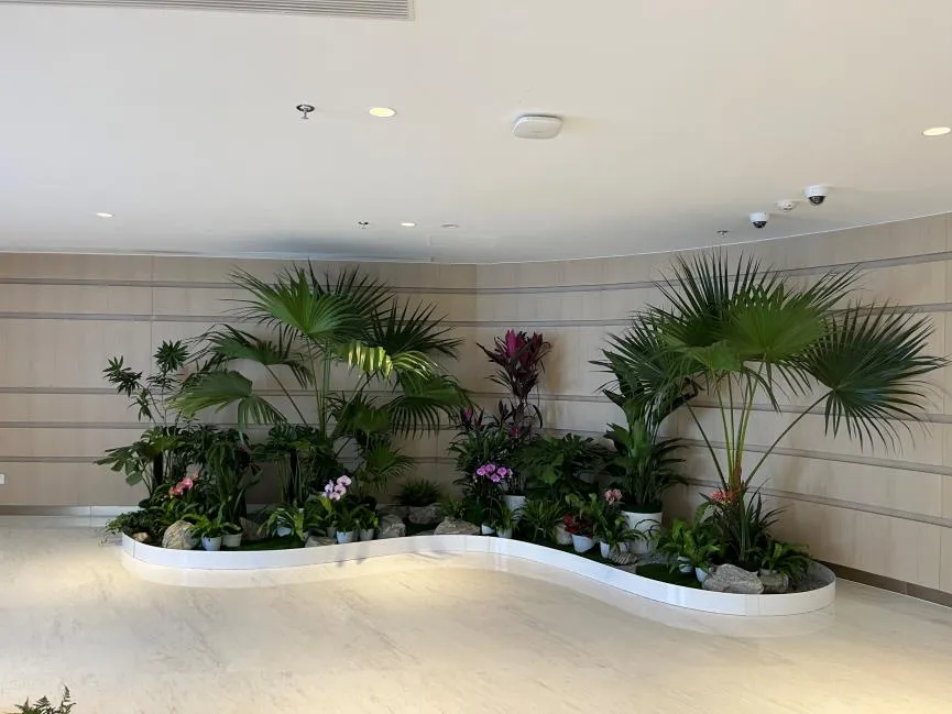 奉化盆景出租公司 奉化盆景出租公司